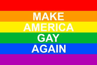 [Make America gay again flag]